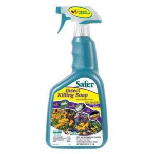 Safer Insect Killing Soap w/ Seaweed Extract II RTU Quart (12/Cs)