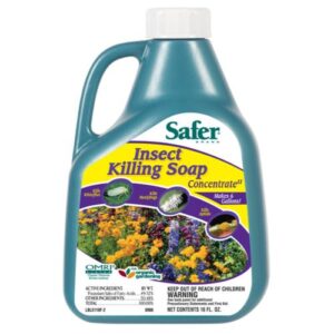 Safer Insect Killing Soap II  Conc. 16 oz (6/Cs)