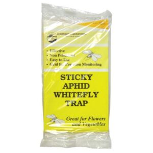 Sticky Whitefly Trap 5/Pack (80/Cs)