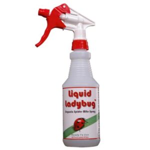 Liquid Ladybug RTU Quart (12/Cs)