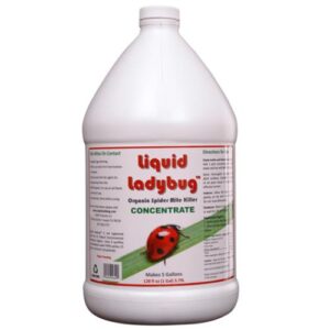 Liquid Ladybug Conc. Gallon (4/Cs)
