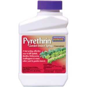 Bonide Pyrethrin Garden Insect Spray Conc. Pint (12/Cs)