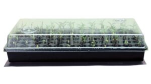 Super Sprouter Heated Germination Kit w/ 2 in Ultra Clear Dome