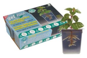 Planters Pride Gel 2 Root 6/Pack (12/Cs)