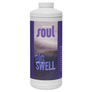 Soul Big Swell Quart (12/Cs)
