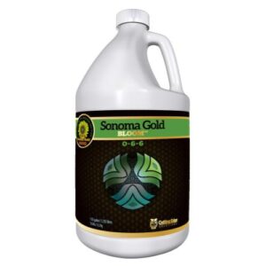 Cutting Edge Sonoma Gold Bloom Gallon (4/Cs)