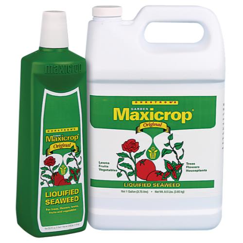 Maxicrop Original Liquid Seaweed 2.5 Gallon (2/Cs)