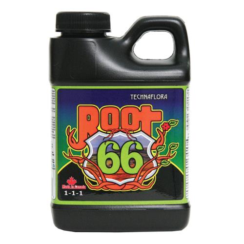 Root 66 250 ml (12/Cs)