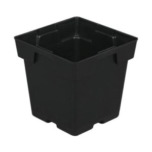 Black Square Pot (Jumbo) 5 in x 5 in x 5 in (200/Cs)