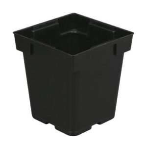 Black Square Pot (Jumbo Senior) 5 in x 5 in x 6.5 in (200/Cs)