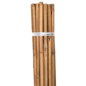 Bond Natural Bamboo HD Stakes 6 ft (6/Bag)